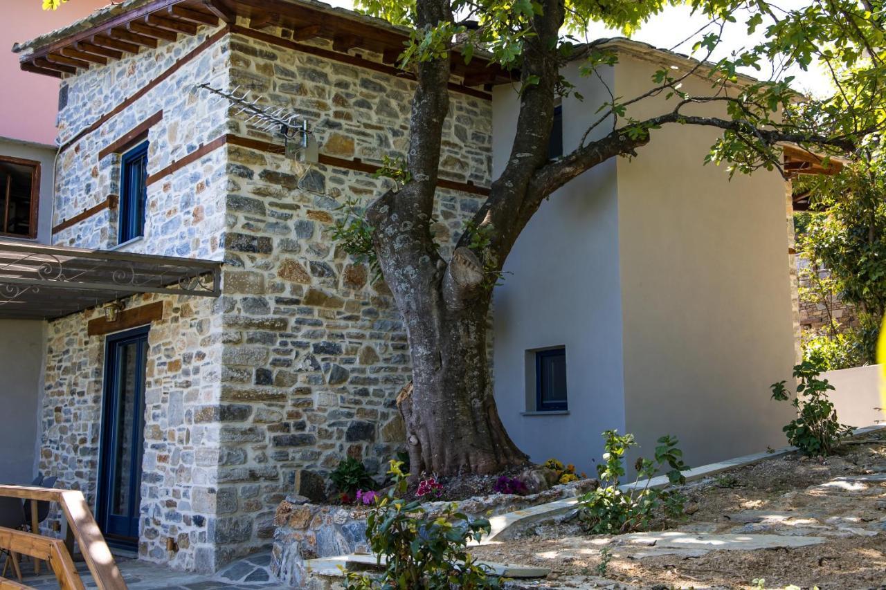 Guesthouse Iris Цагкарада Екстер'єр фото