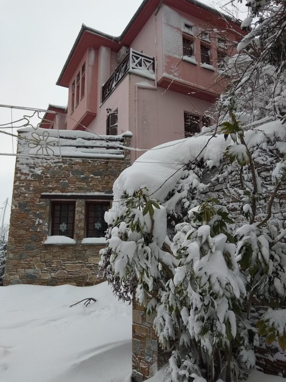 Guesthouse Iris Цагкарада Екстер'єр фото